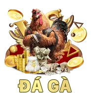 Tham gia các giải đấu độc quyền